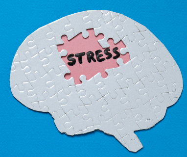Cum afecteaza stresul creierul